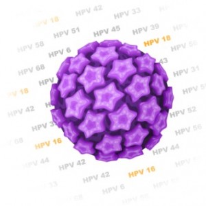 HPV Human Papilloma Virus