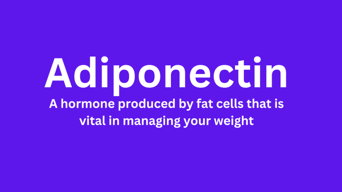 picture of the word adiponectin, a hormone that is vital to managing your weight