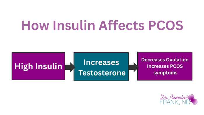 Insulin Resistance and PCOS: A Deeper Look diagram showing how high insulin increases testosterone which decreases ovulation and increases PCOS symptoms when women have insulin resistance