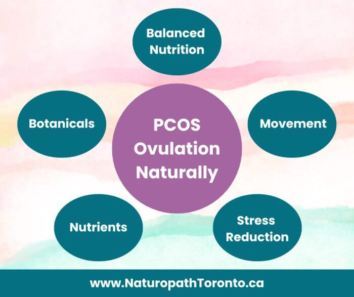 PCOS Ovulation Naturally and Trying to Conceive graphic of pcos ovulation naturally and the five elements that can improve ovulation and fertility naturally in pcos including diet, exercise, botanicals, vitamins, minerals, and stress reduction
