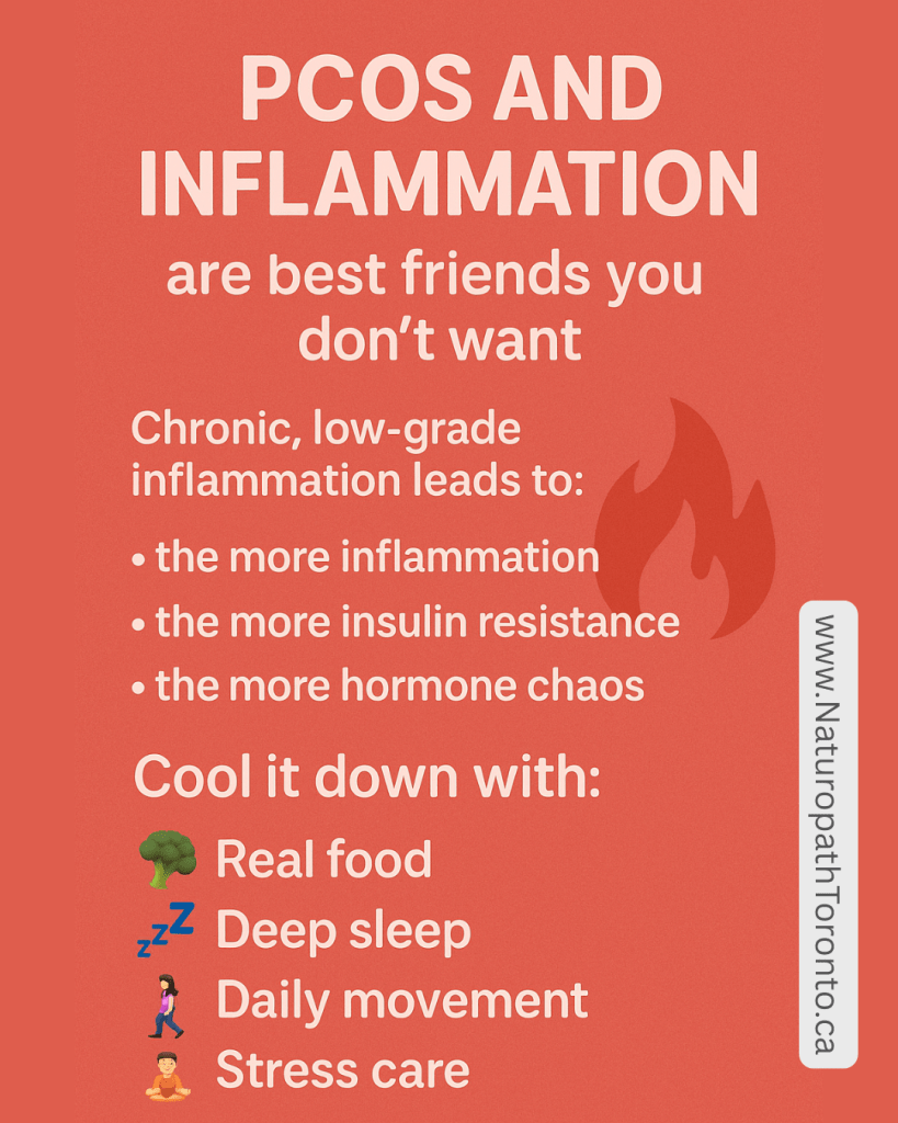 graphic that says pcos and inflammation are best friends you don't want